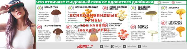 индика Абдулино