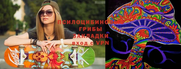 круглые Алзамай