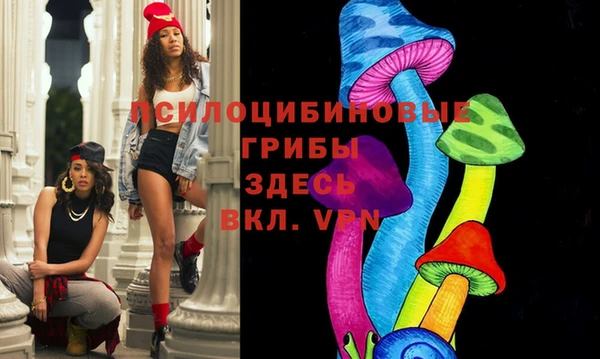 индика Абдулино