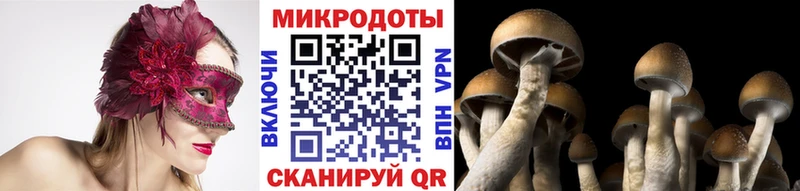 Галлюциногенные грибы мицелий  shop Telegram  Инсар 